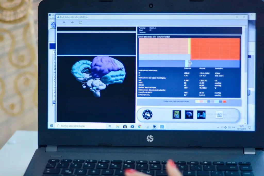 Es teck neurotransmisores