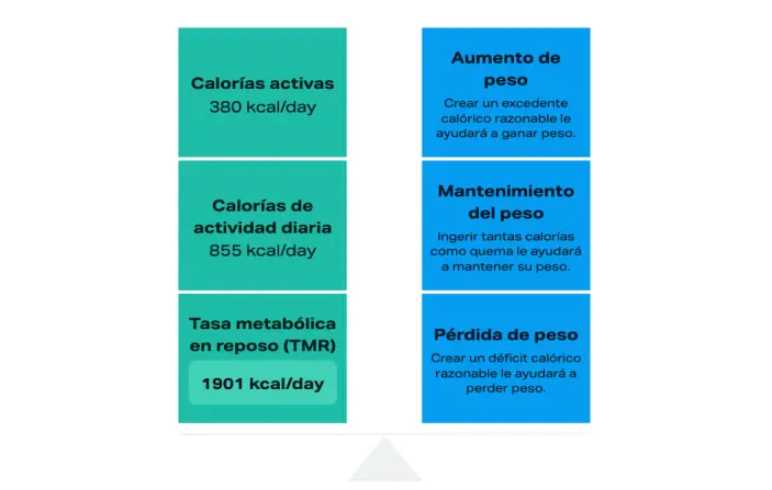 Tasa metabolico rmr